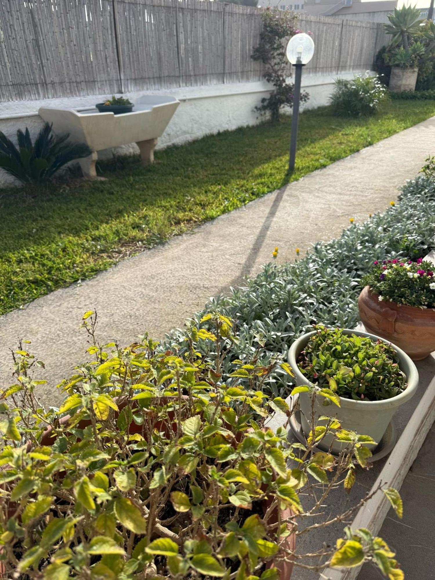 A Casa Di Coso B&B Μαρσάλα Εξωτερικό φωτογραφία